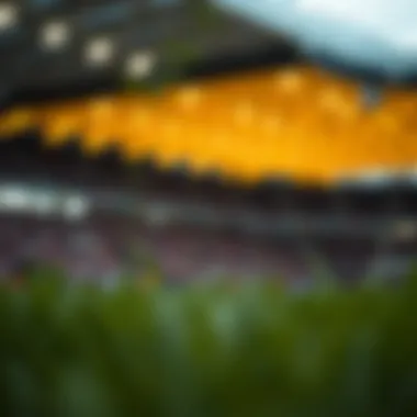 3월 미식 축구 토너먼트의 배당률 분석 Summary