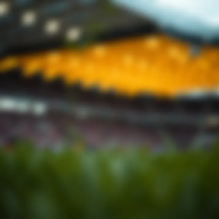 3월 미식 축구 토너먼트의 배당률 분석 Summary