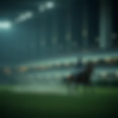 Magnificent 스포츠 실시간 경기 분석 및 전략