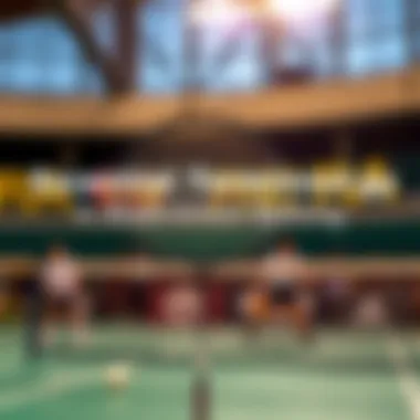 Understanding basic terminology in badminton betting