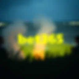 bet365 스포츠 베팅 가이드 Introduction