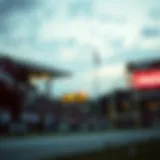 카지노보는곳: 베팅의 세계에 대한 심층 분석 Introduction