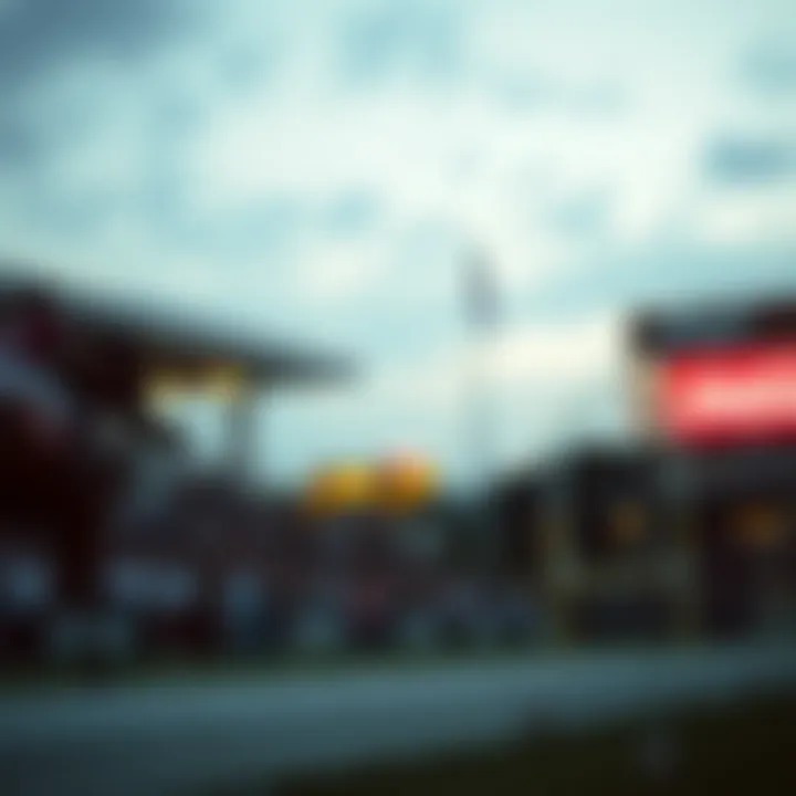 카지노보는곳: 베팅의 세계에 대한 심층 분석 Introduction